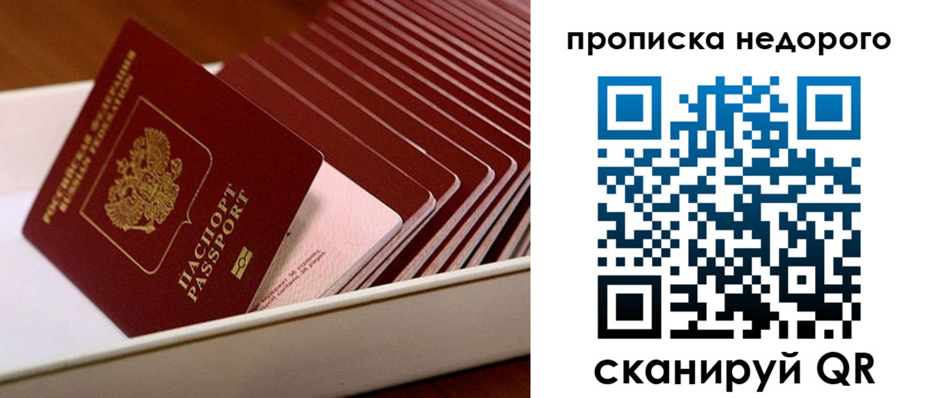 прописка паспорт в Талдоме
